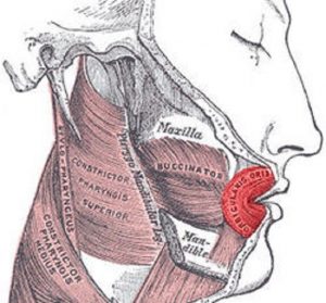 γωνιαίοσ κόμβος