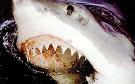 νωδος ασθενησ