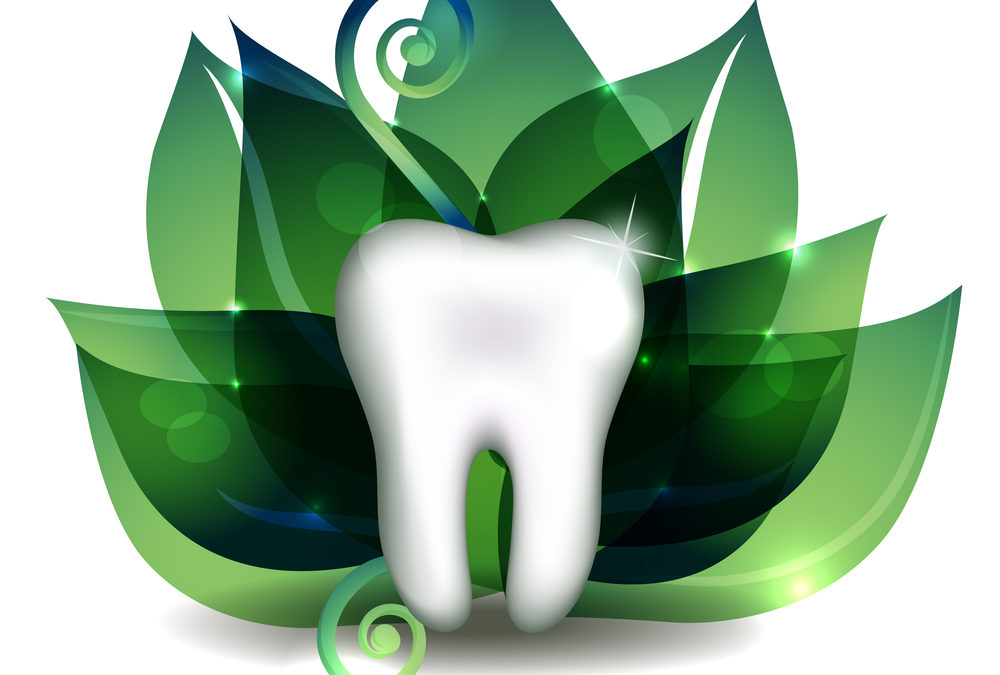 white tooth and bright green leafs at the background